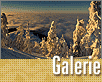ts_galerie_06-01-nahled1.gif