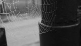 dscn3340u.jpg