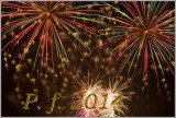 pf2014-2385-2.jpg