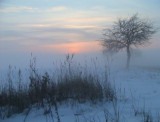 Misty