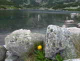 tatry-05.-12)-(2).jpg