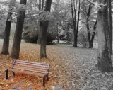 podzimni-park.2.jpg