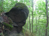 dsc01952.jpg