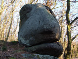dsc07888.jpg