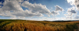 dsc_8691_panorama.jpg