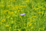 dsc_0069.jpg