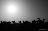 small_mg_9193.jpg