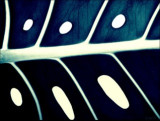 den_a_noc_30x40.jpg