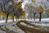 dsc_0176.jpg