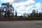 dsc_0041.jpg