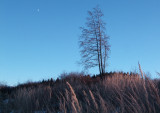 dscf1393.jpg
