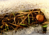 dscf1397.jpg