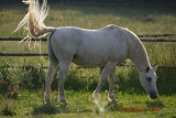 dsc_0144.jpg