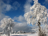 img_0744.jpg