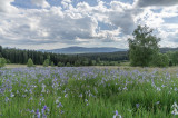 imgp6432-jako-inteligentni-objekt-1.jpg