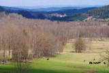 imgp6400_dxo.jpg