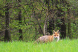 listopad-2015-112.jpg