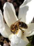 p3280052-z.jpg