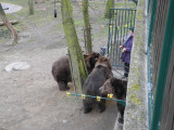 dscn2670.jpg