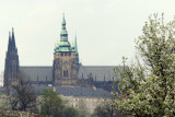 2017.04.05-petrin-12-ok.jpg