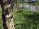 17.05.06-u_berounky-art-15.jpg