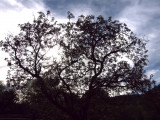 2017.05.11-u_berounky-34.jpg