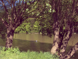 2017.05.11-u_berounky-6.jpg