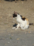 dscn3907.jpg