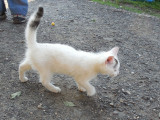 dscn3913.jpg