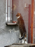 dscn5513.jpg