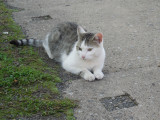 dscn6377.jpg