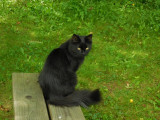 dscn7453-(2)81033.jpg