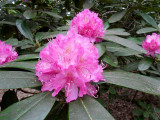 dscn0141.jpg