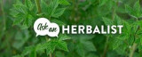 herbalist-healer.jpg