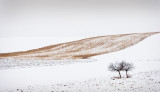 horice-hridelec-luzany-upr-mala-052.jpg