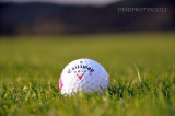 562010_401471969918570_1340518973_n.jpg