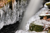 dsc_6826.jpg