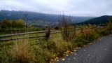 hojsova-straz02.jpg