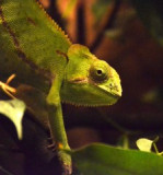 zoo02.jpg