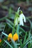 img_0994.jpg