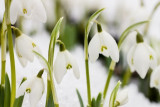 20090307-_mg_6562-edit.jpg