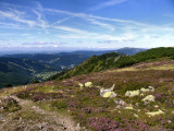 _mg_0132.jpg