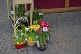 dsc_0648.jpg