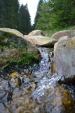 dsc_2450.jpg