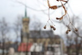 kopieimg_9968.jpg