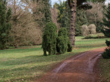 p4133445.jpg