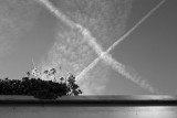 1307_6706-edit.jpg