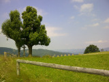 img-20130707-00972.jpg