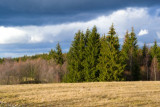 podivna-zima-ve-svratouchu.jpg