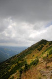 dsc_7816.jpg